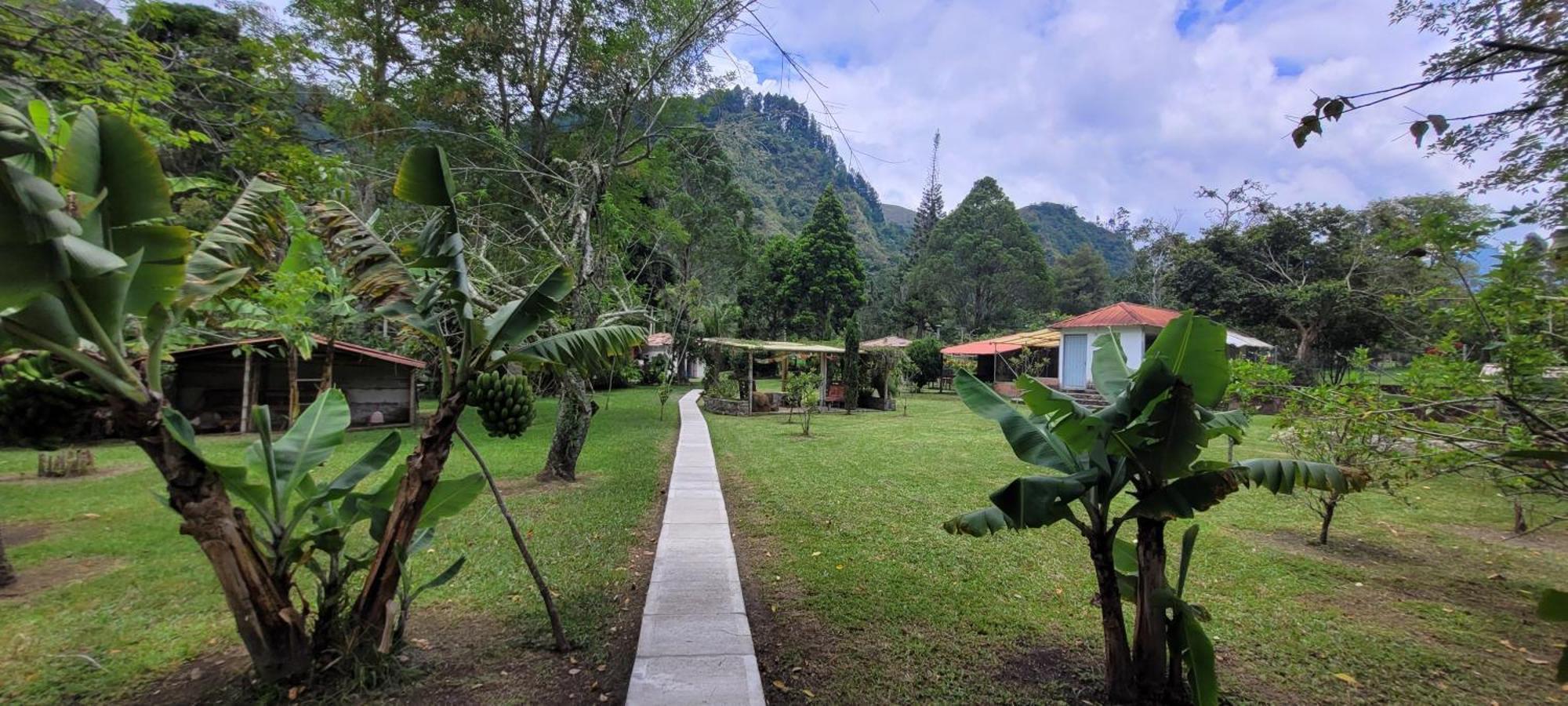 Lodge Exclusivo Cocora Con Jacuzzi Quindio *