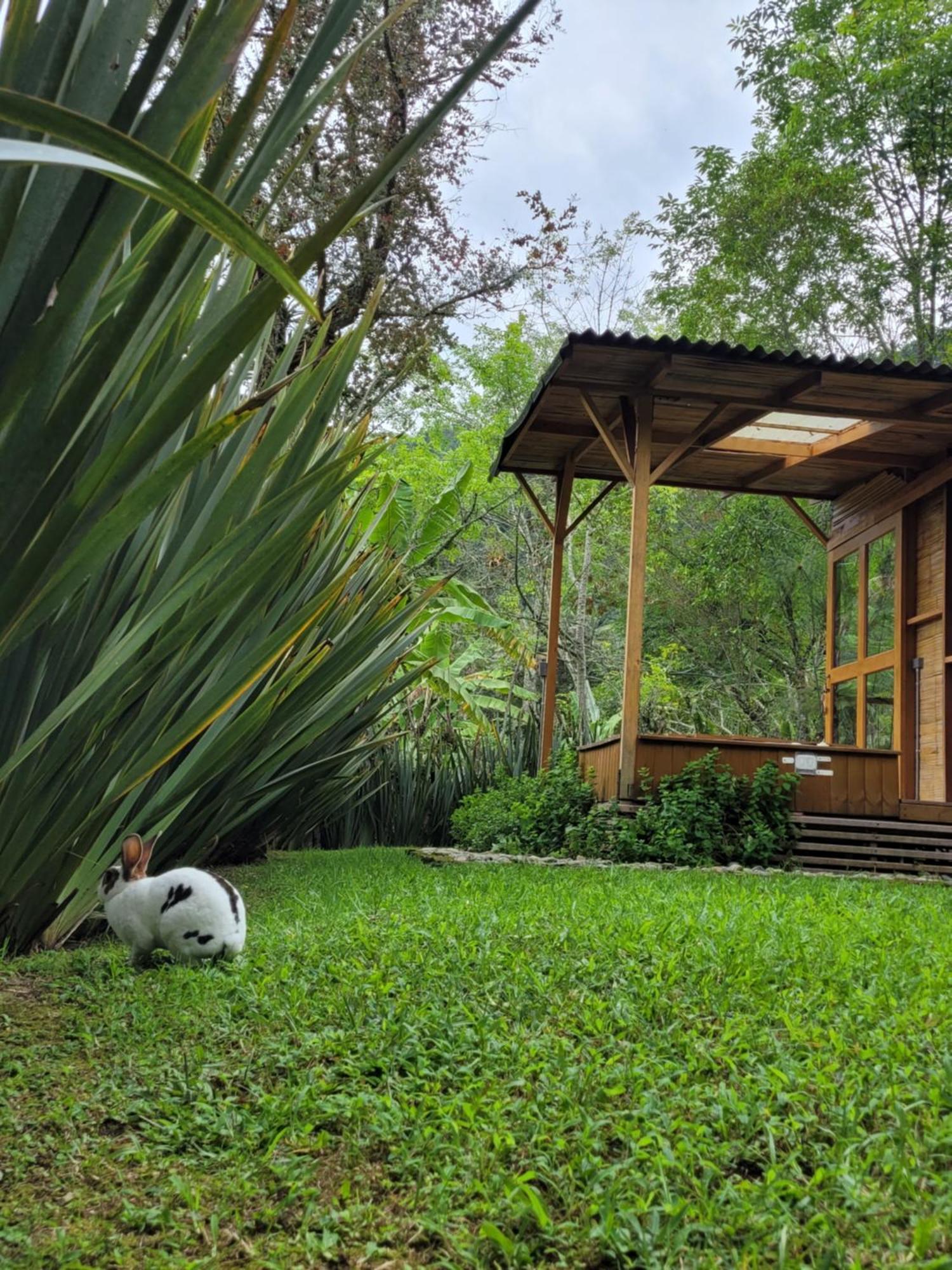 Exclusivo Cocora Con Jacuzzi Quindio Lodge Salento