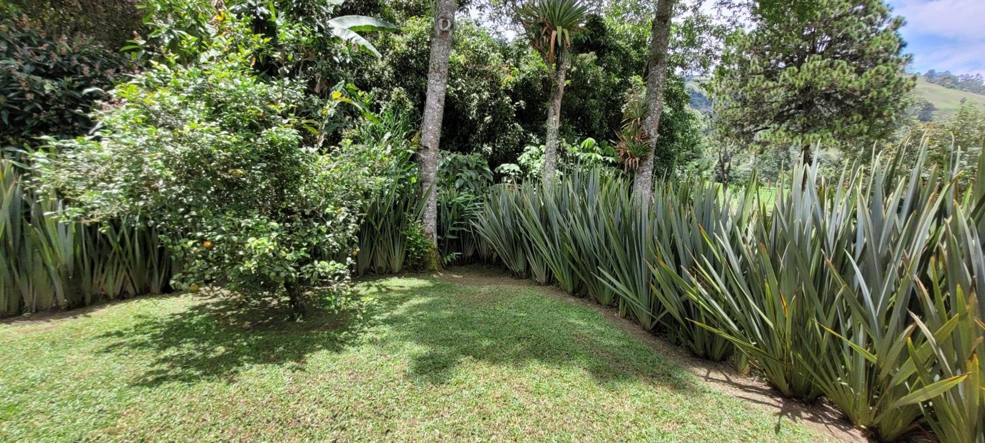 Exclusivo Cocora Con Jacuzzi Quindio